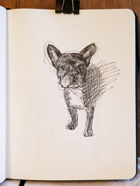 Frenchie, archival ballpoint pen, 2022-8.8 x 6.75 inches, $525