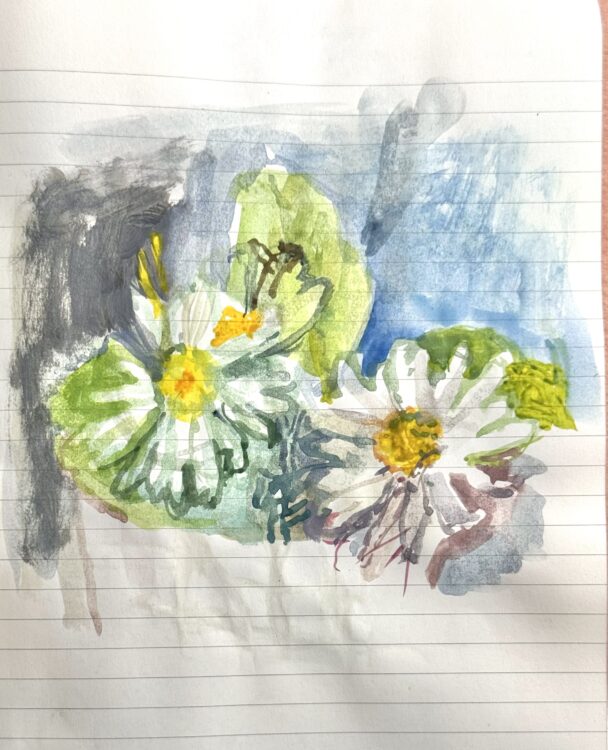 Daisies1-6.5x5-ins-watercolour-2025 $370    to purchase: val@valnelson.ca